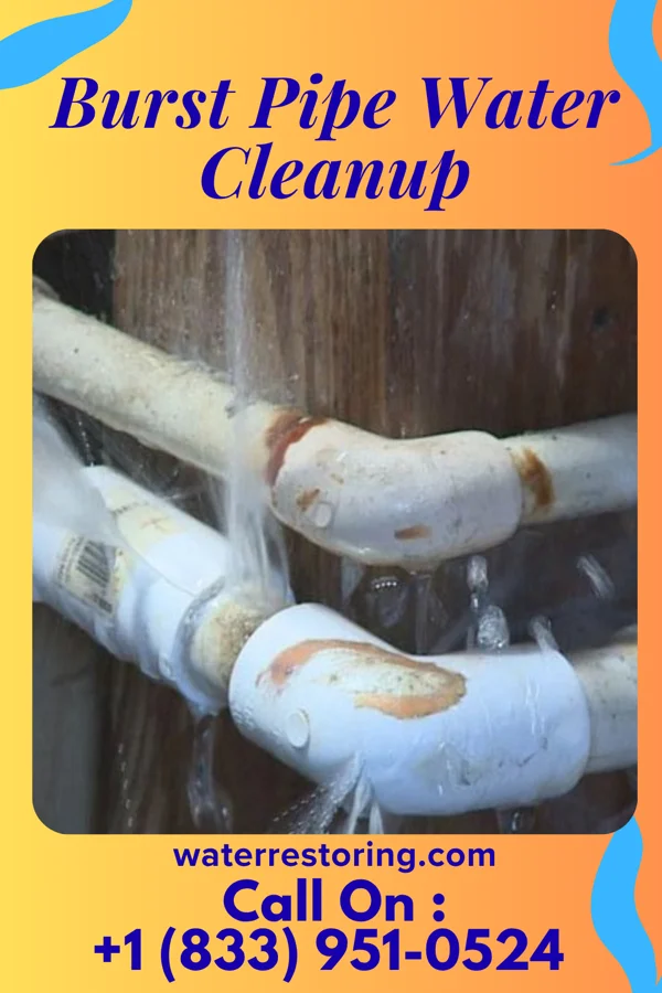 Burst Pipe Water Cleanup in Fairview Heights, IL