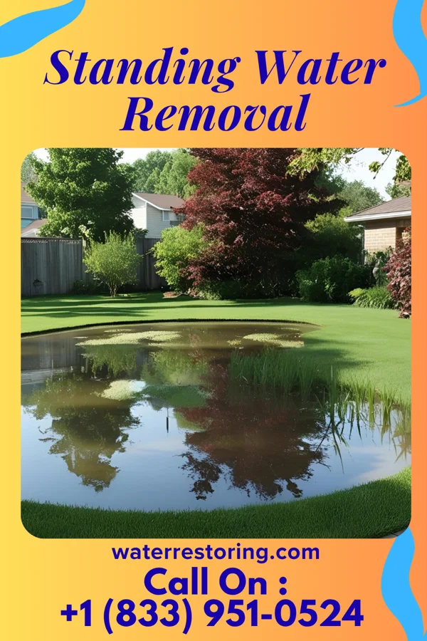 Standing Water Removal in Fairview Heights, IL
